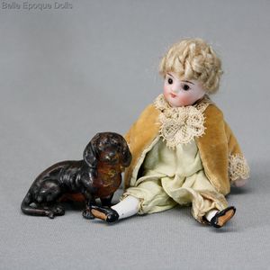 antique miniature dog , teckel , lead of vienna 