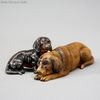 dachshunds , lead of vienna , antique miniature dog 